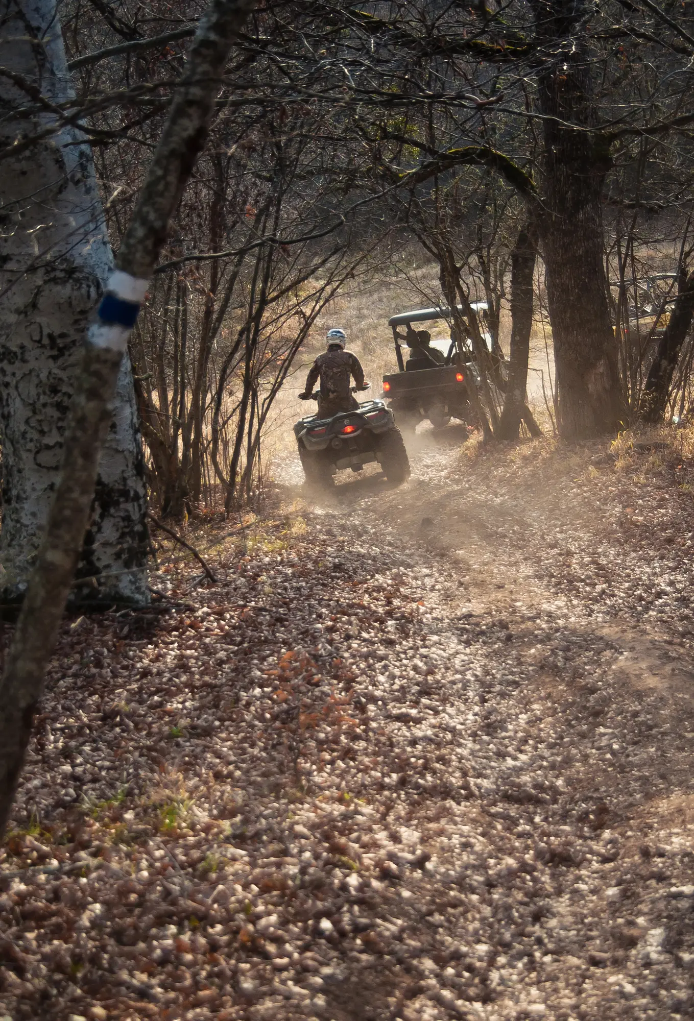 atvs on trail