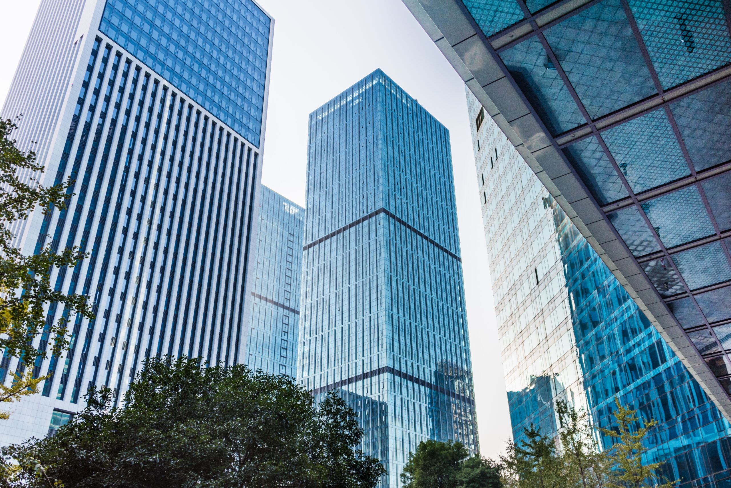 Business Interruption Insurance